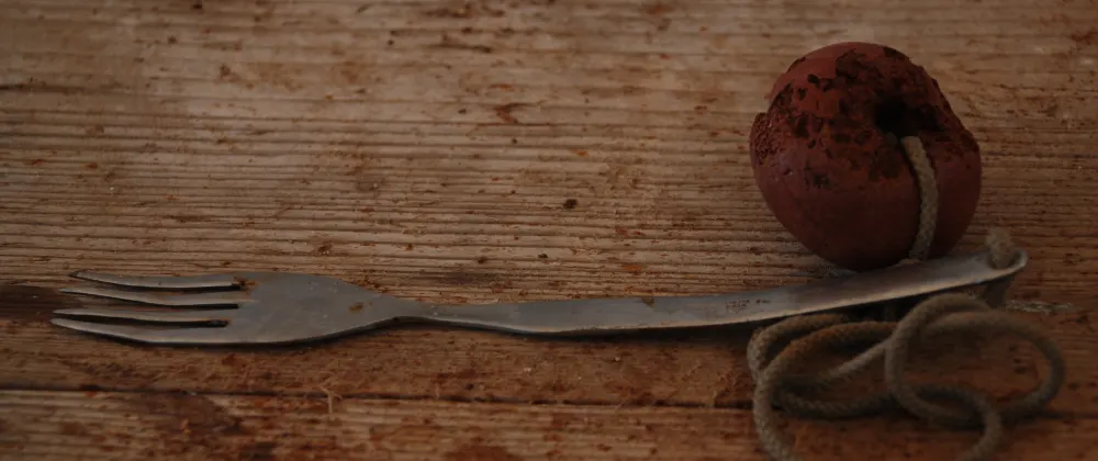Picture of an old fork - Cover Image